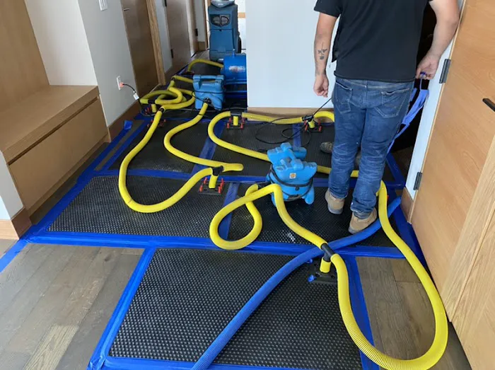 ECOS Environmental & Disaster Restoration, Inc. Picture 5