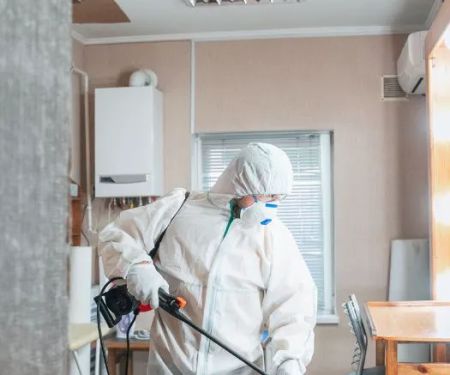 ECOS Environmental & Disaster Restoration, Inc.