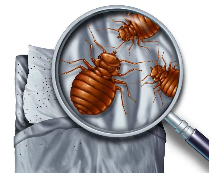 ECOS Environmental & Disaster Restoration, Inc. Picture 8