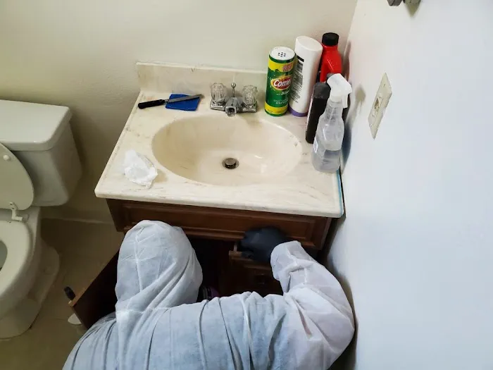 ECOS Environmental & Disaster Restoration, Inc. Picture 5