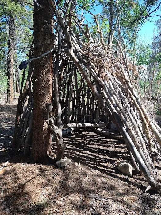 Deep Water Emergency Services & Restoration Picture 6