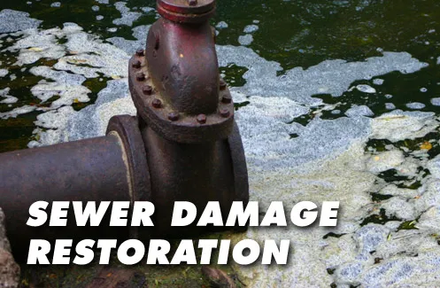 Deep Water Emergency Services & Restoration Picture 5