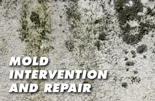 Deep Water Emergency Services & Restoration Picture 7