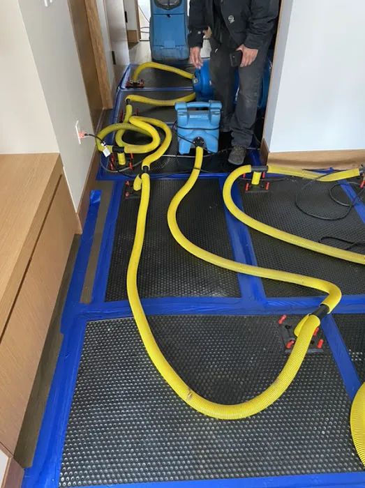 ECOS Environmental & Disaster Restoration, Inc. Picture 4