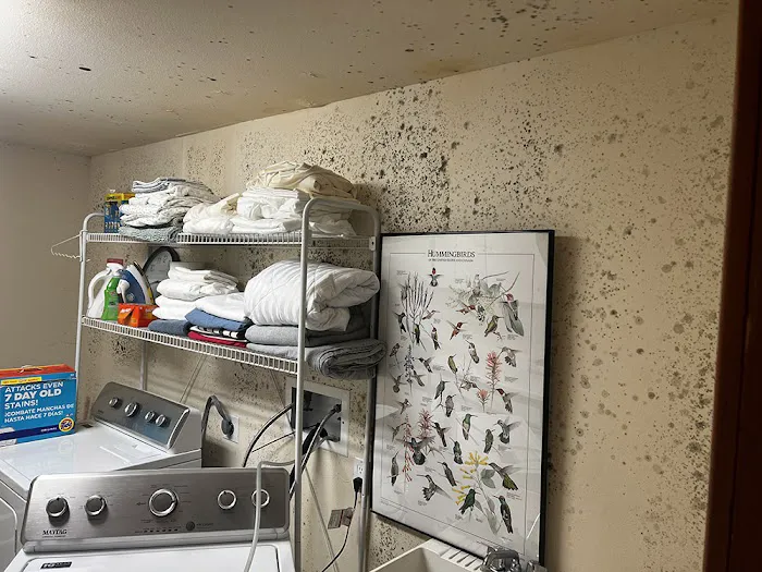 Helpers Disaster Restoration Picture 2