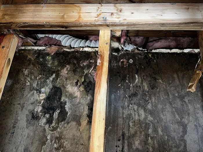 Helpers Disaster Restoration Picture 5