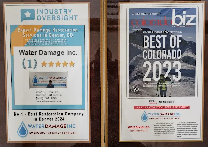 Water Damage Inc. Picture 2