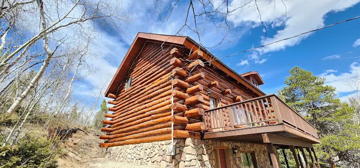 Kikin Log Home Restoration Picture 2