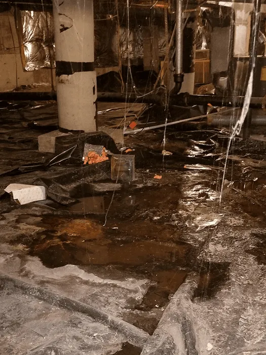 24/7 Flood Response Denver Water Damage Specialists Fire Smoke Mold Mitigation Biohazard Picture 8