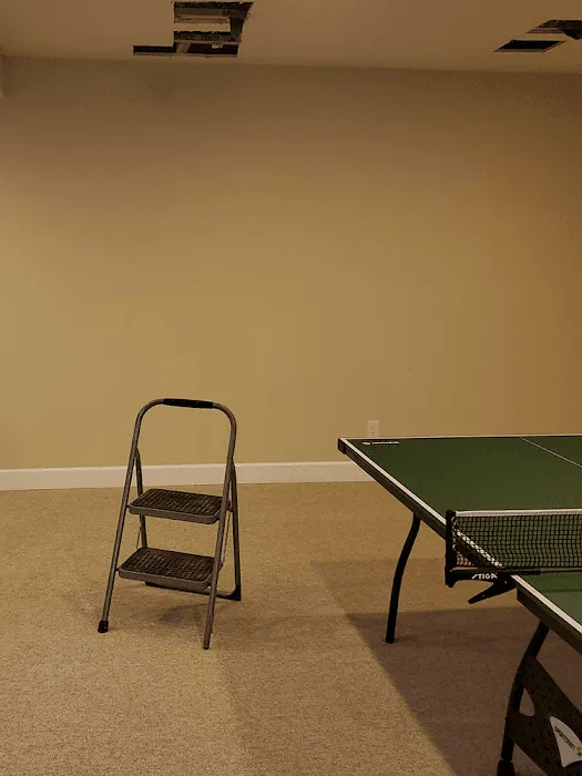 24/7 Flood Response Denver Water Damage Specialists Fire Smoke Mold Mitigation Biohazard Picture 5