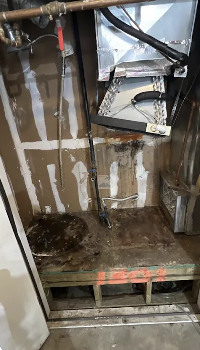 24/7 Flood Response Denver Water Damage Specialists Fire Smoke Mold Mitigation Biohazard Picture 1
