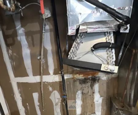 24/7 Flood Response Denver Water Damage Specialists Fire Smoke Mold Mitigation Biohazard