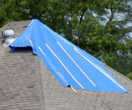 ECOS Environmental & Disaster Restoration, Inc.