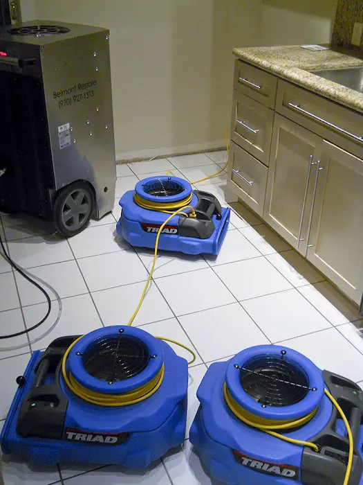 Belmont Carpet Cleaning + Flood Restoration Picture 1