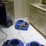 Belmont Carpet Cleaning + Flood Restoration