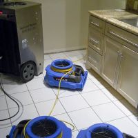 Belmont Carpet Cleaning + Flood Restoration ico