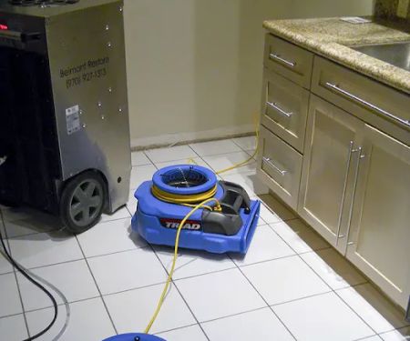 Belmont Carpet Cleaning + Flood Restoration