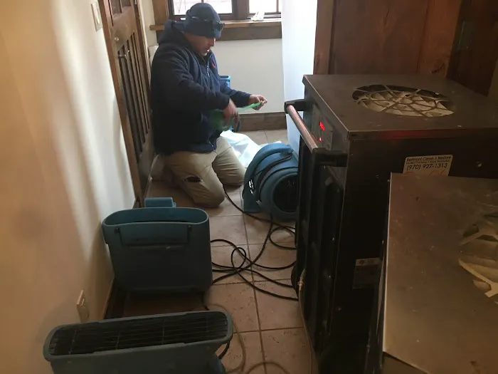 Belmont Carpet Cleaning + Flood Restoration Picture 3