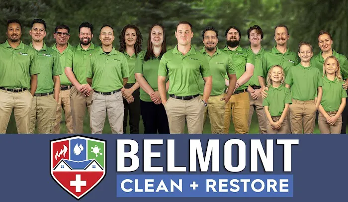 Belmont Carpet Cleaning + Flood Restoration Picture 9