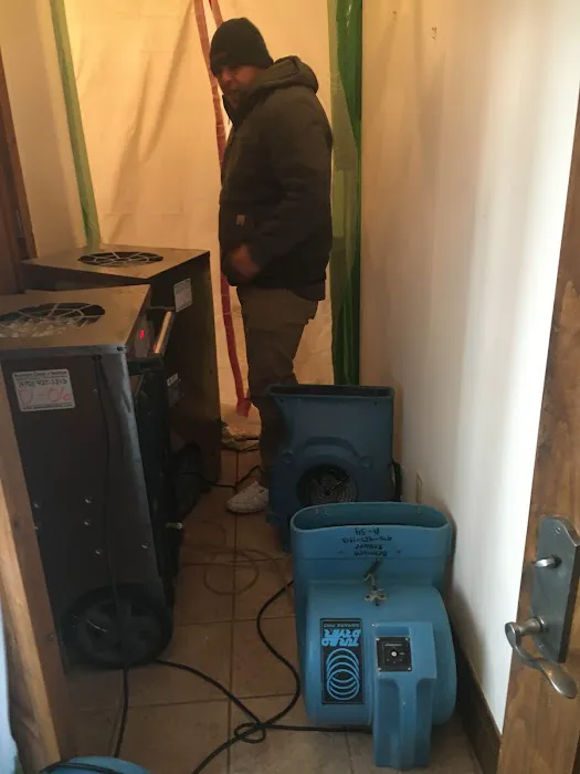 Belmont Carpet Cleaning + Flood Restoration Picture 6