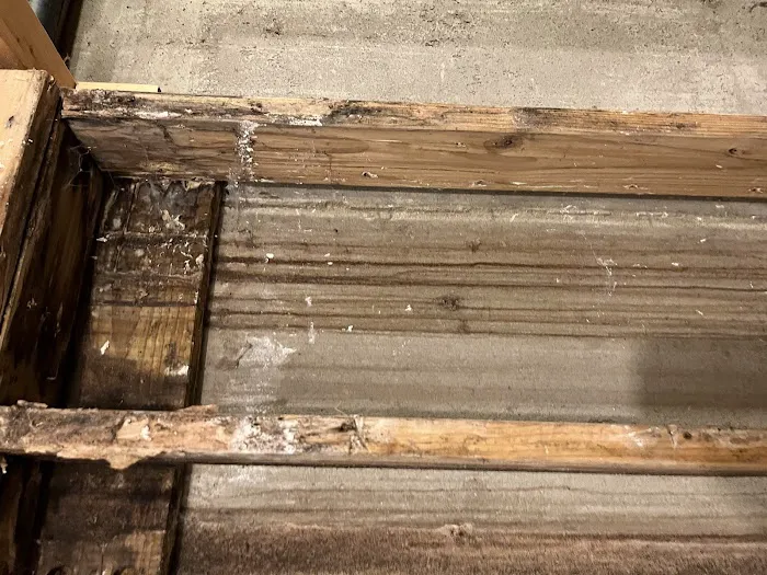 United Water Restoration Group of Denver NW Picture 6