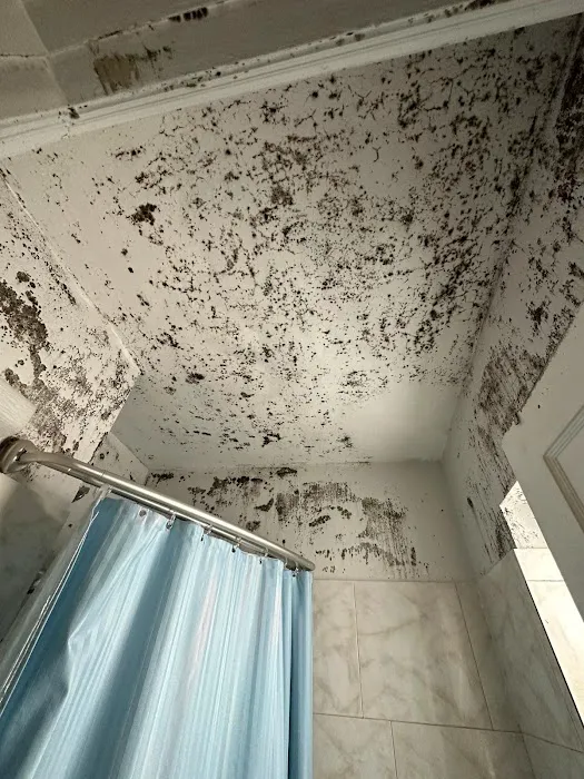 Restoration Geeks Picture 4