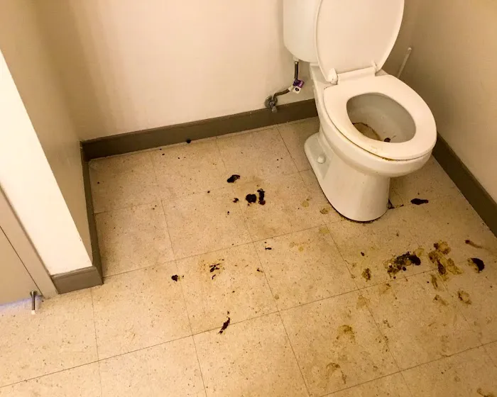 SERVPRO of Denver North Picture 4