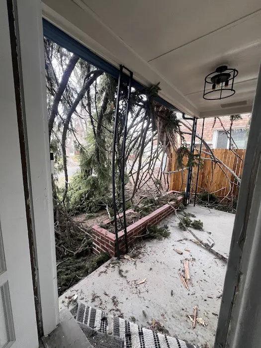 Rescue Restoration & Construction Picture 8