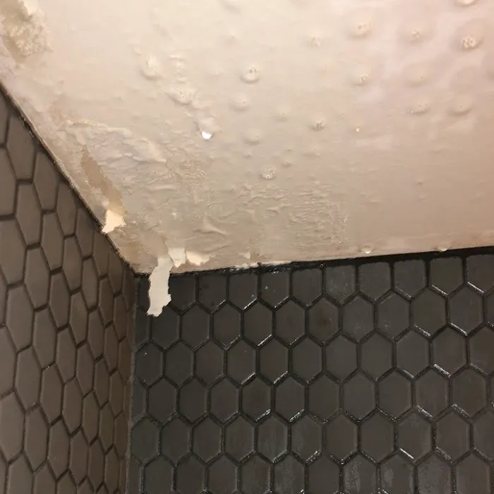 Denver Experts Picture 7