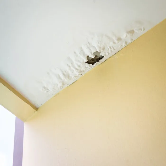 Denver Experts Picture 4