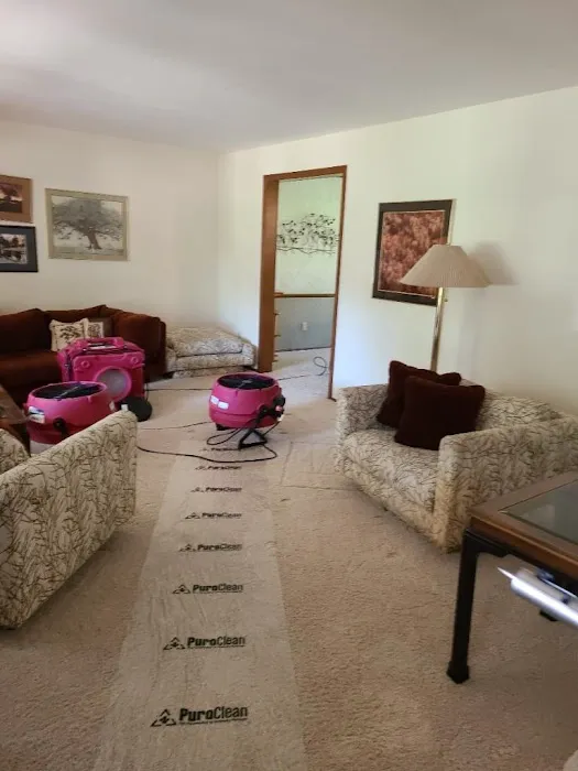 PuroClean of Northeast Denver Picture 4