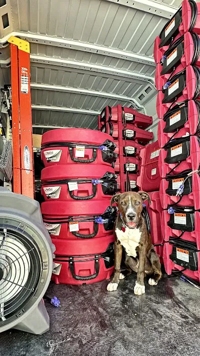 PuroClean of Northeast Denver Picture 9