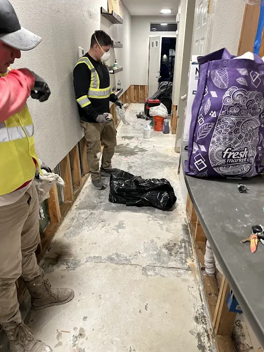 Kinrest Property of Denver Picture 5