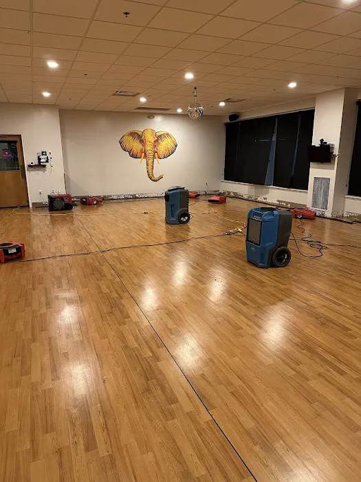 Kinrest Property of Denver Picture 2