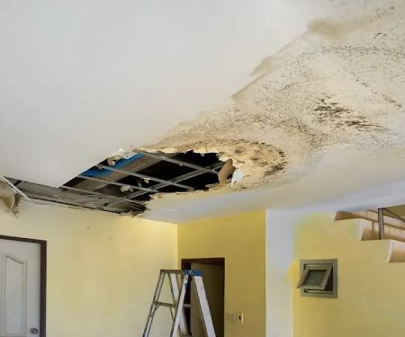 Elements Water Damage & Flood Repair Denver Cherry Creek