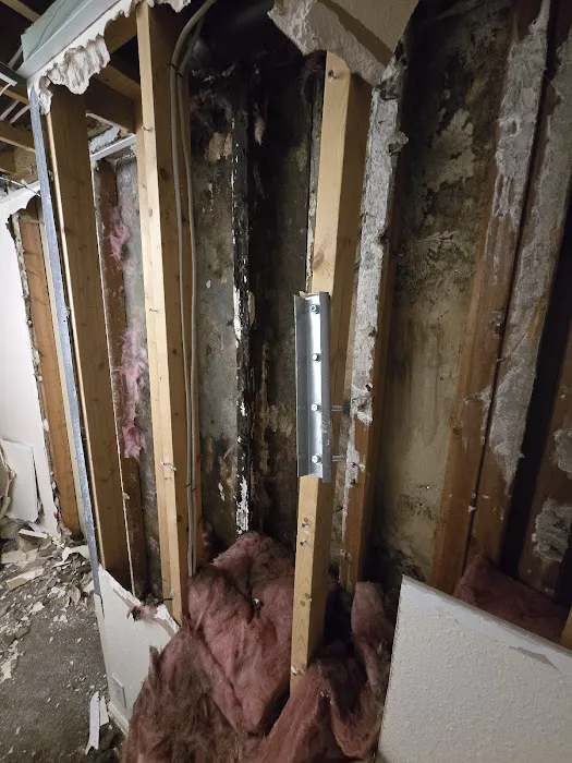 Restoration 1 of Central Denver Picture 2