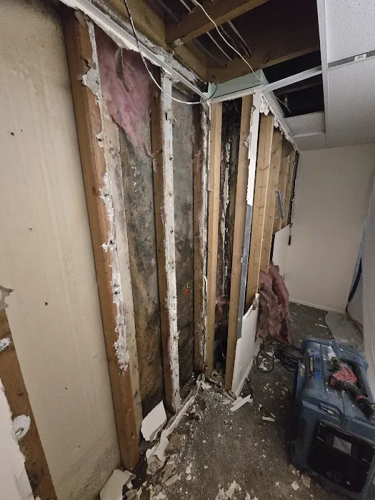 Restoration 1 of Central Denver Picture 1