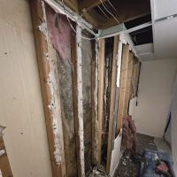 Restoration 1 of Central Denver ico