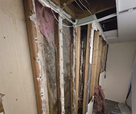 Restoration 1 of Central Denver