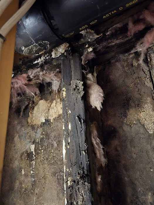 Restoration 1 of Central Denver Picture 9