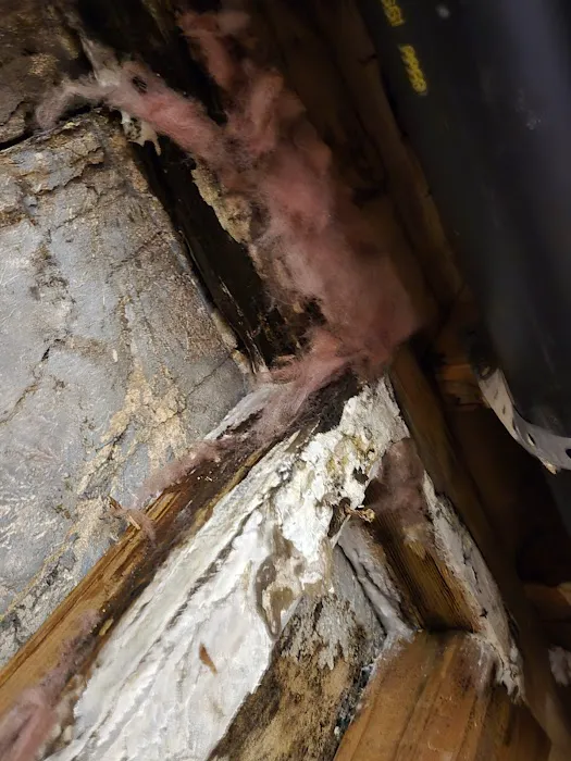 Restoration 1 of Central Denver Picture 3