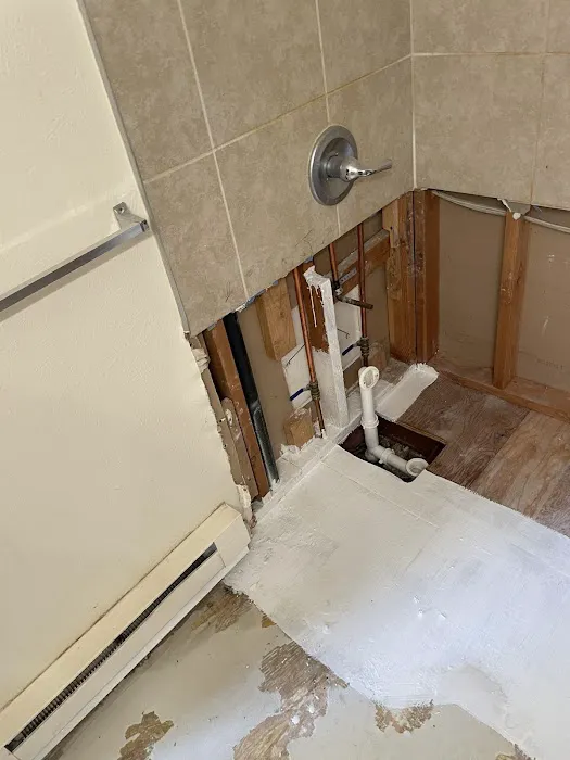 Restoration 1 of Central Denver Picture 7