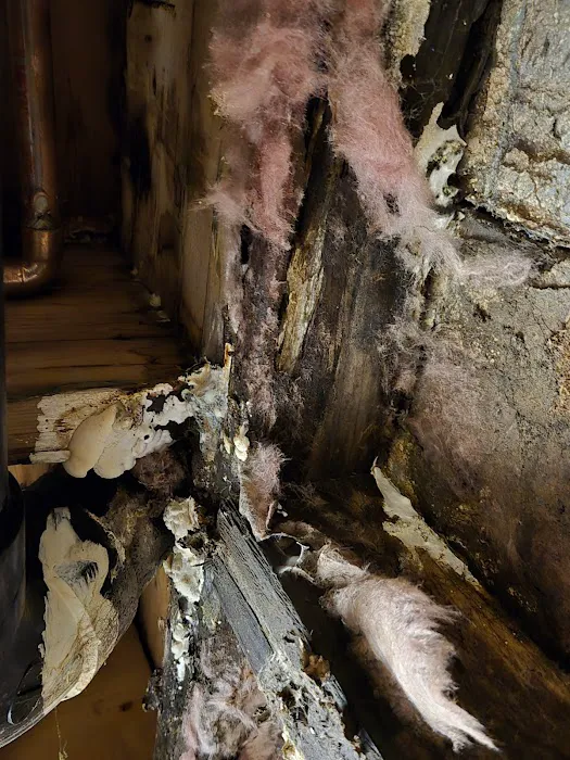 Restoration 1 of Central Denver Picture 4