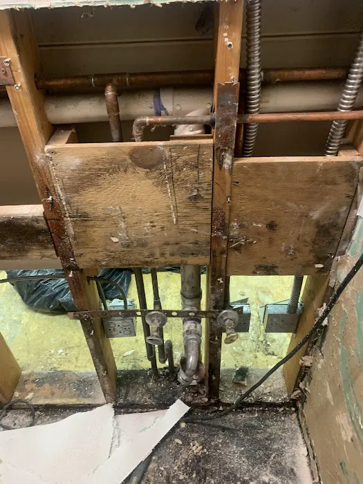 Restoration 1 of Central Denver Picture 6