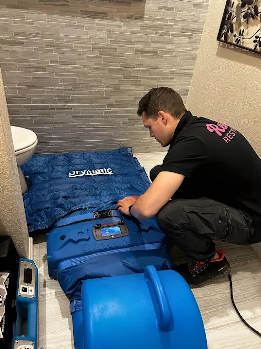 Resolve Restoration Picture 3