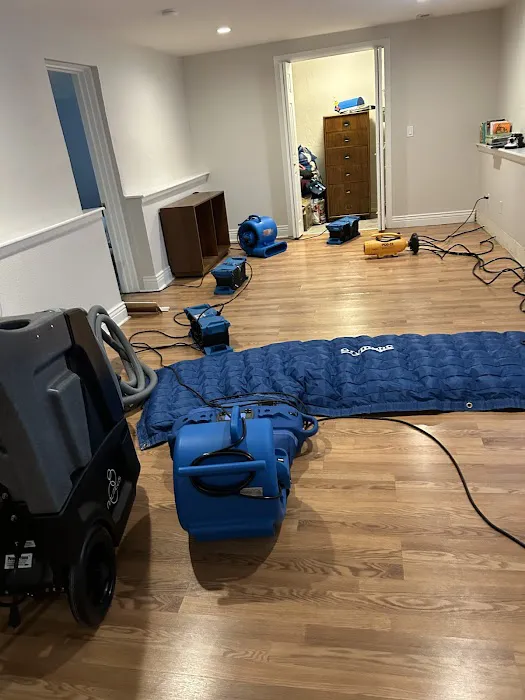 Resolve Restoration Picture 2