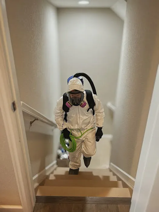 Resolve Restoration Picture 4