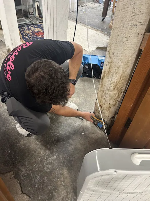 Resolve Restoration Picture 10