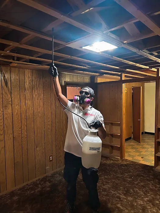 Resolve Restoration Picture 1