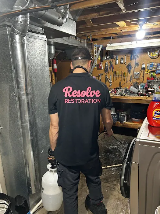 Resolve Restoration Picture 8